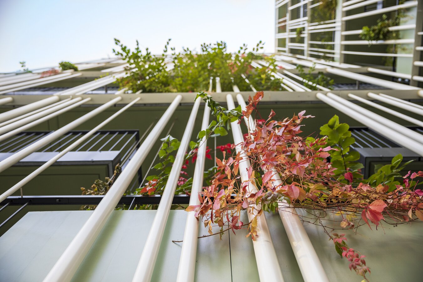 Studio Zwei Value One